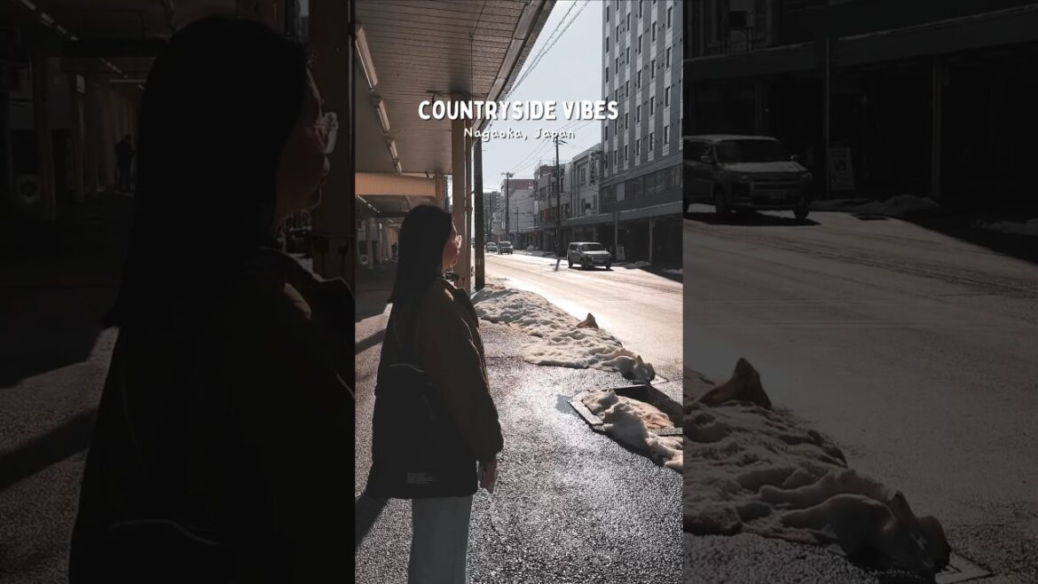 Countryside vibes in Japan #japantravel #nagaoka #niigata #japantrip #japan #countryside #fyp