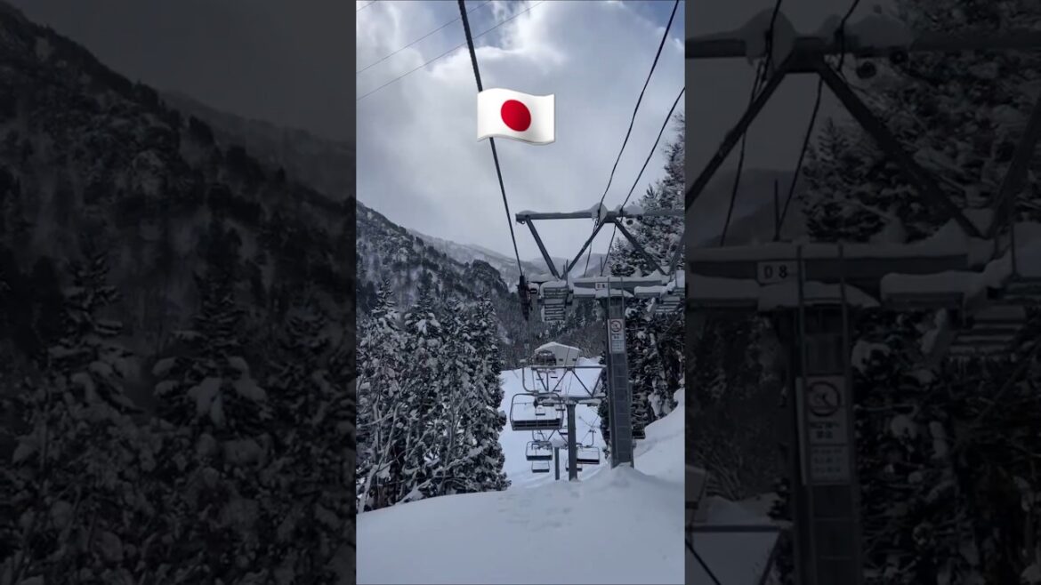 日本苗場滑雪場 🎿滑雪之旅。Niigata Ski Resort, Japan＃ski