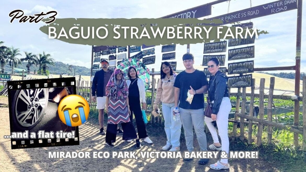 PART 3 | Strawberry Farm 🍓 Mirador Eco Park ⛩️ Victoria Bakery 🥐 in BAGUIO CITY and a FLAT TIRE! 🥺