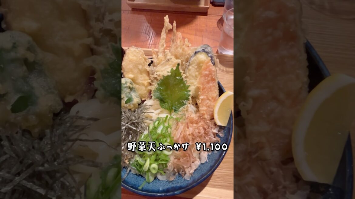 #三薫三沐 #kirishima #japan #うどん #旅行 #鹿児島 #travel #udon #三薫三沐 #kirishima #japan #うどん #旅行 #鹿児島 #travel #udon