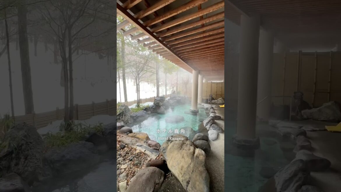 いにしえより旅人を癒してきた名湯といったらここ♨️