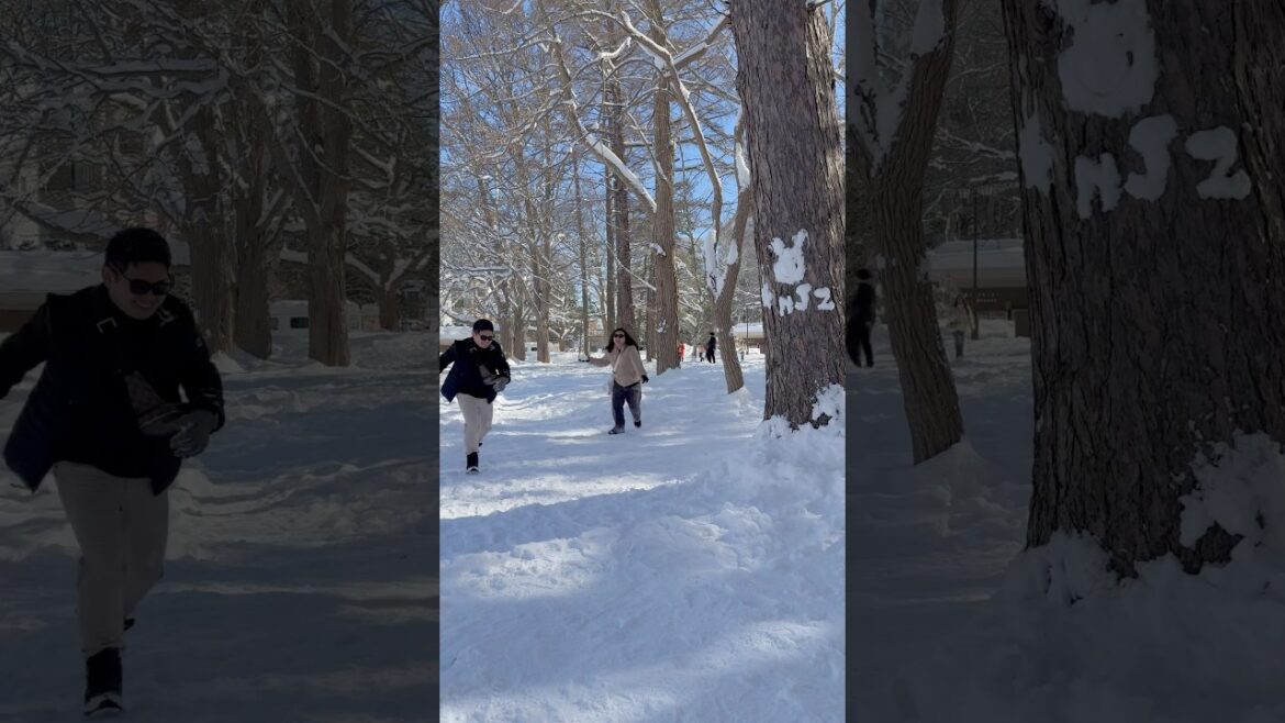 Maruyama park Sapporo #travel #hokkaido  #sapporo