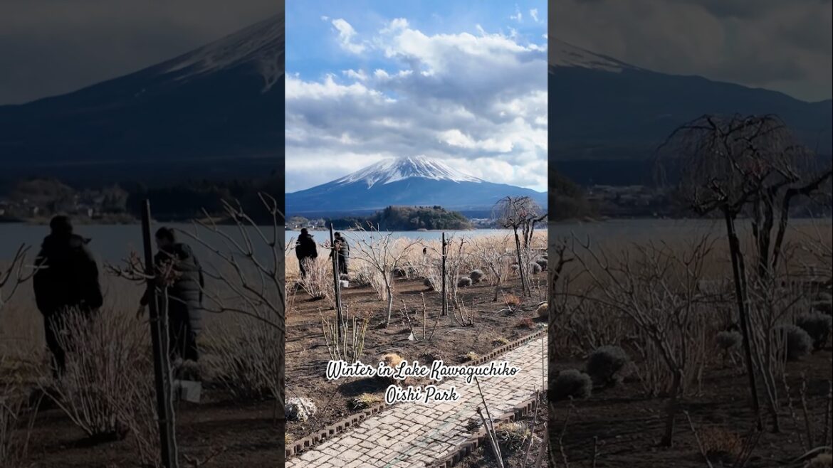 The Beauty of Lake Kawaguchiko The Beauty of Lake Kawaguchiko