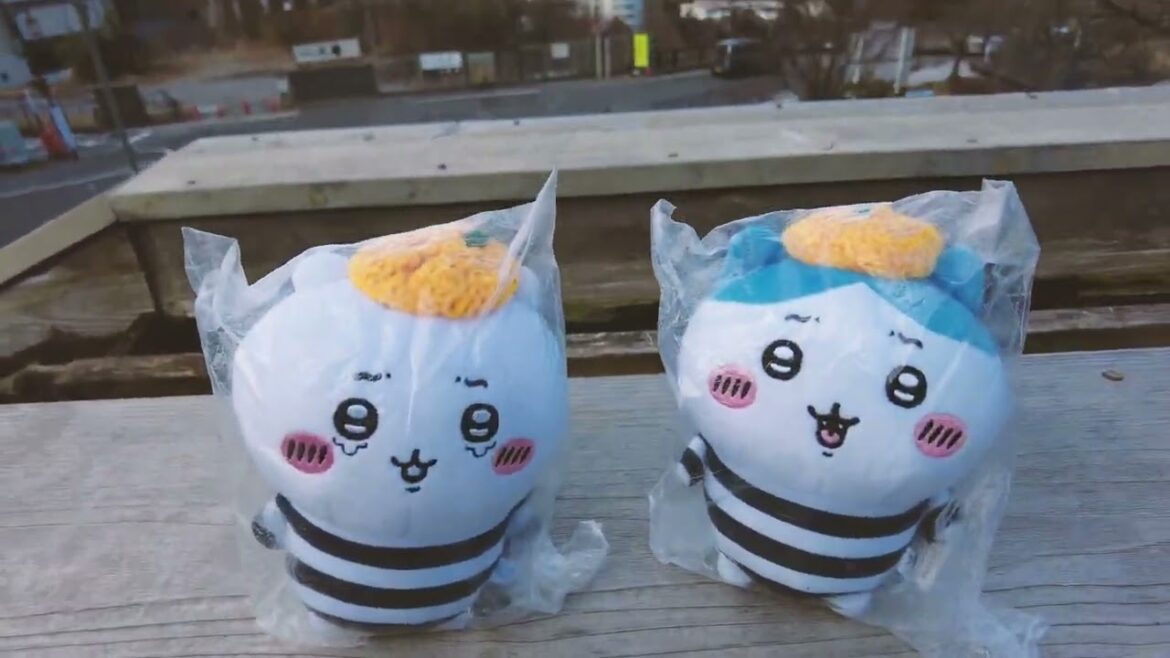 【vlog】ずんだもんと行く老神温泉2日目/伊香保編 【vlog】ずんだもんと行く老神温泉2日目/伊香保編