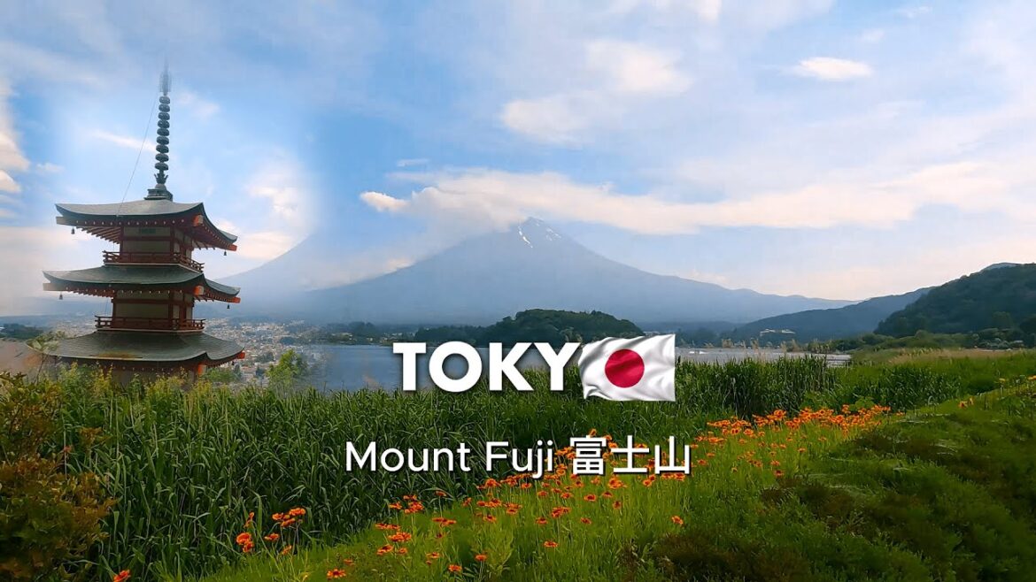 Day 9 in Japan, West Tokyo Feat Mount Fuji 富士山 | Oishi Park 大石公園 | Lake Kawaguchi | Chūreitō Pagoda