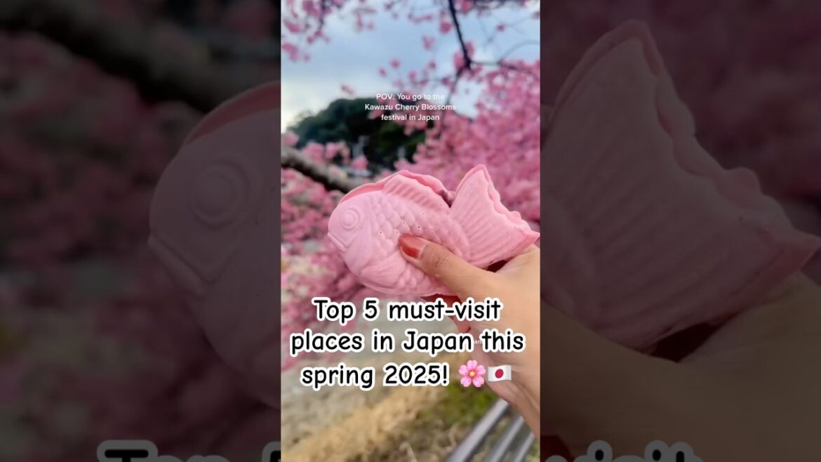 Top 5 must-visit places in Japan this spring 2025! 🌸