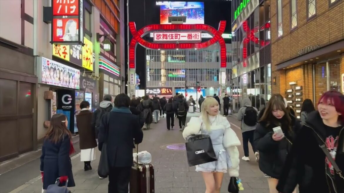 Tokyo’s Wild Red Light District: Kabukicho After Dark 歌舞伎町 4K Night Walk 🇯🇵