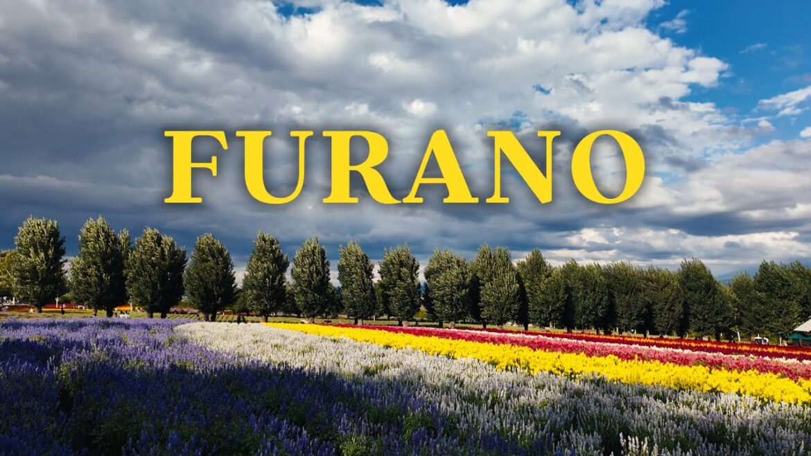 Furano Solo Vlog | Cheese Factory, Flower Fields, Farm Tomita & More! | Japan Vlog #5 Furano Solo Vlog | Cheese Factory, Flower Fields, Farm Tomita & More! | Japan Vlog #5