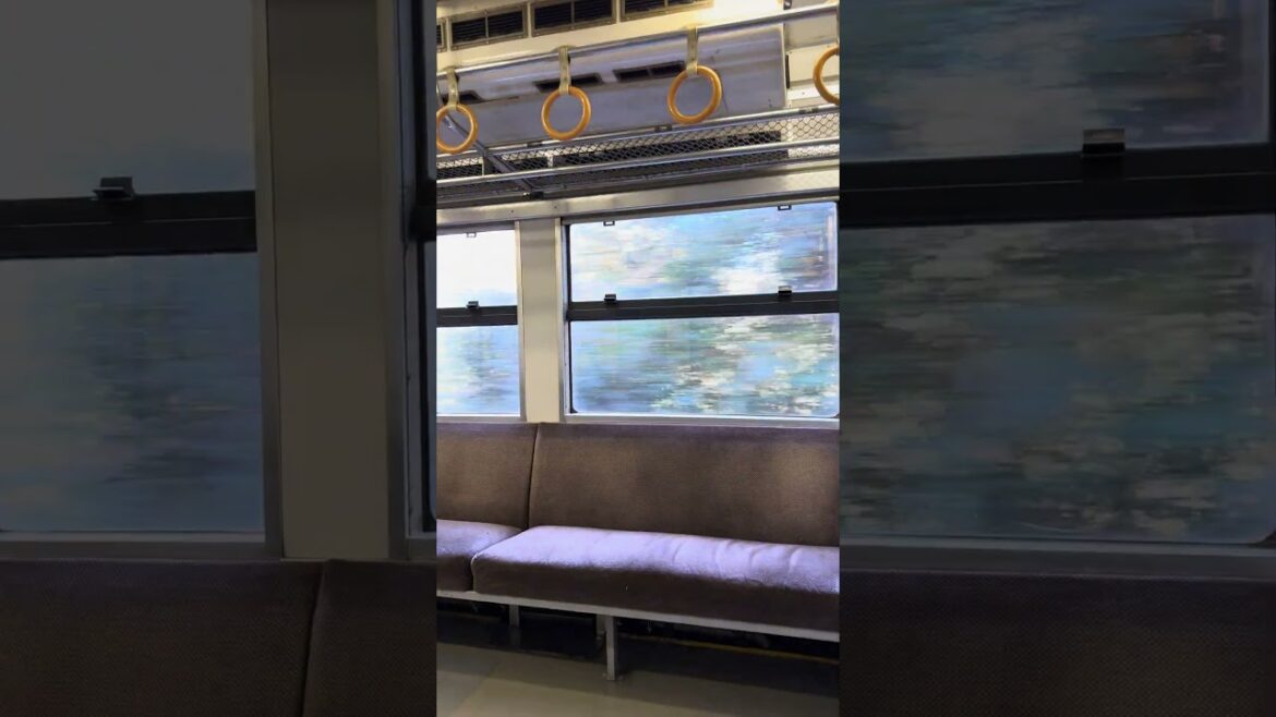 Rural Japan Train Ride                          #okayama #japan #train #railway