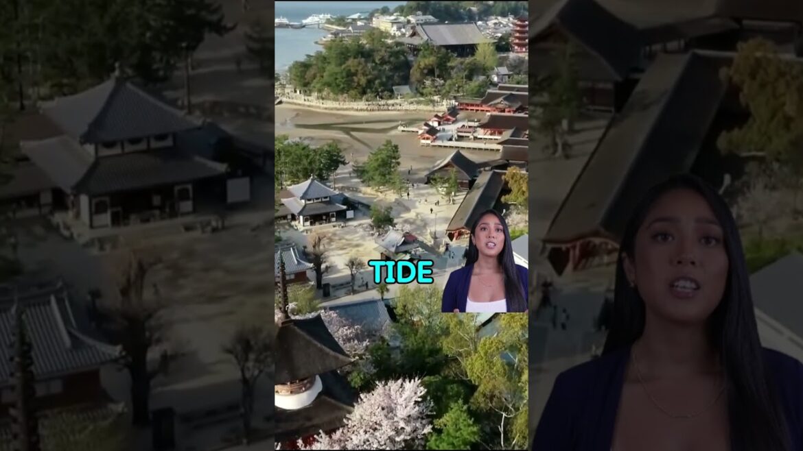Uncovering the Secrets of Japan's Iconic Torii Gates!