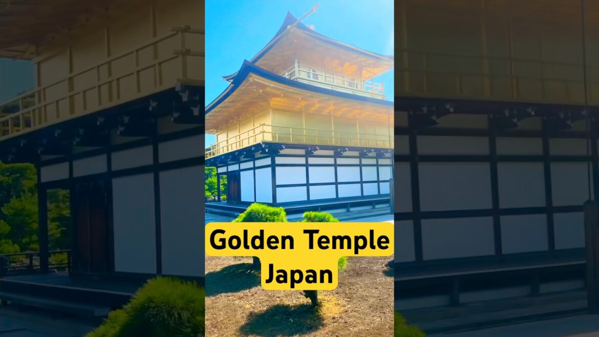 Kinkakuji Temple | Golden Temple Kyoto, Japan 🇯🇵  #shorts #temple #japan #travel #trending
