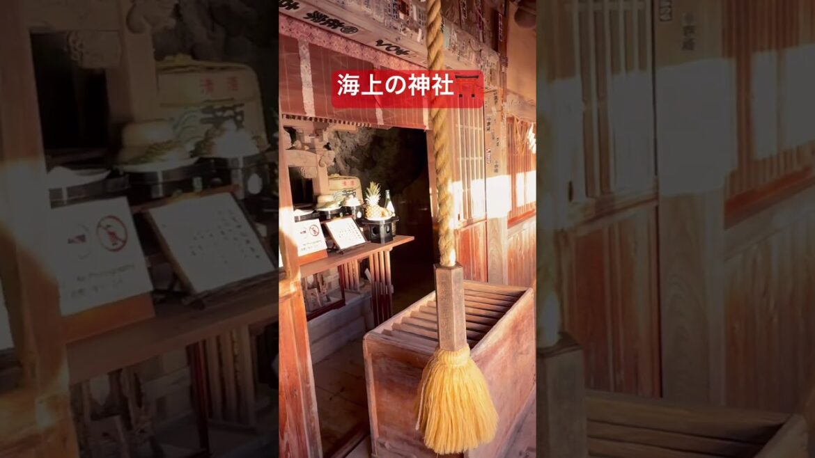断崖絶壁伊豆の石室神社 #危険地帯 #秘境スポット #パワースポット #神社 #絶景