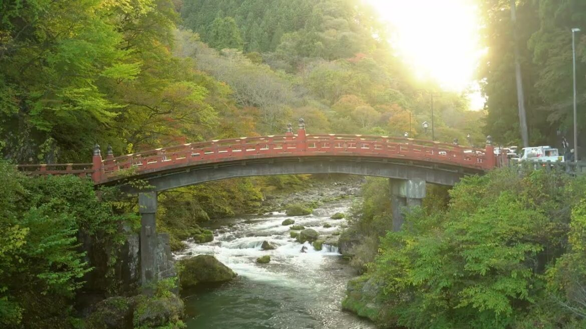 Trip to Japan | Tokyo Nikko Sendai