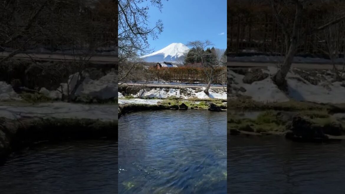 Mount fuji #drdeepakdevgun #travelwithdrdevgun #japan #mountfuji