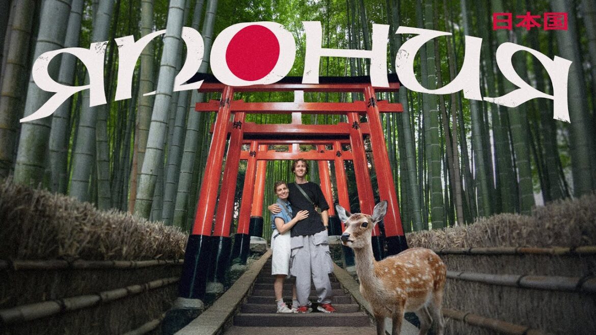 Япония! Очень странная, но жутко притягательная!