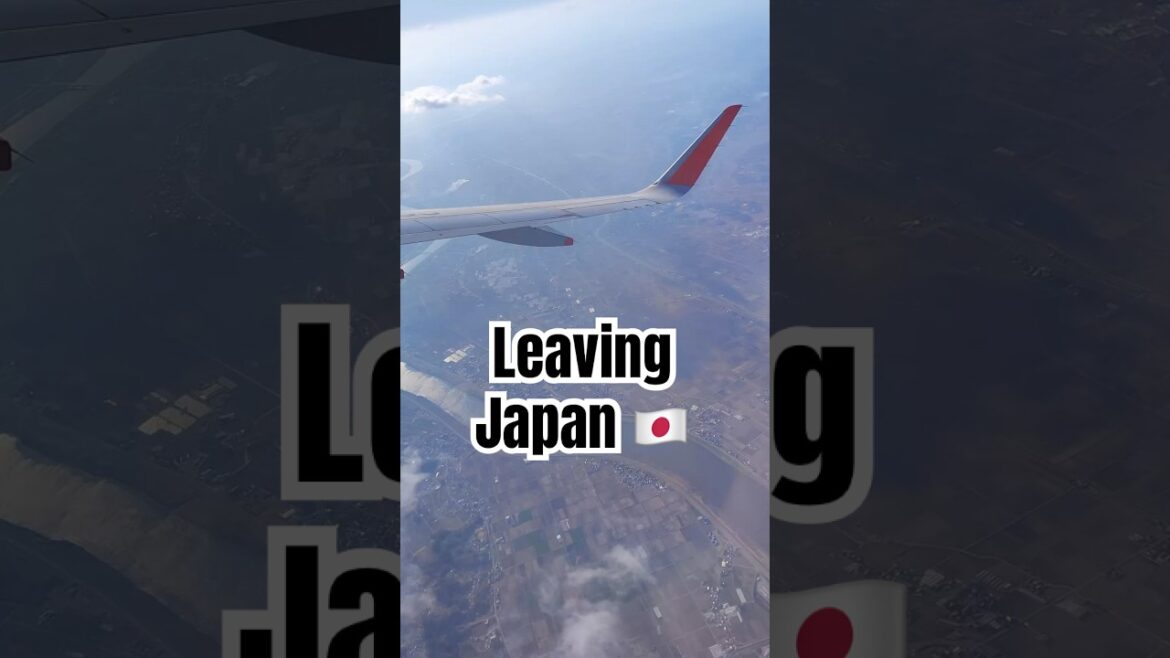 ‘till we meet again Japan! 🇯🇵 #explorejapan #shorts #japan #travel #reels ‘till we meet again Japan! 🇯🇵 #explorejapan #shorts #japan #travel #reels