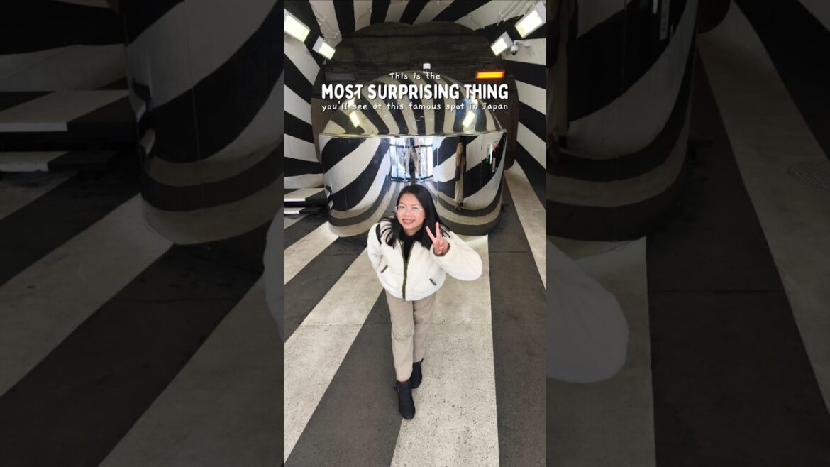 You won't guess what this is in Japan! 🤯😲 #kiyotsugorge #japantravel #japantips #traveltips #fypage