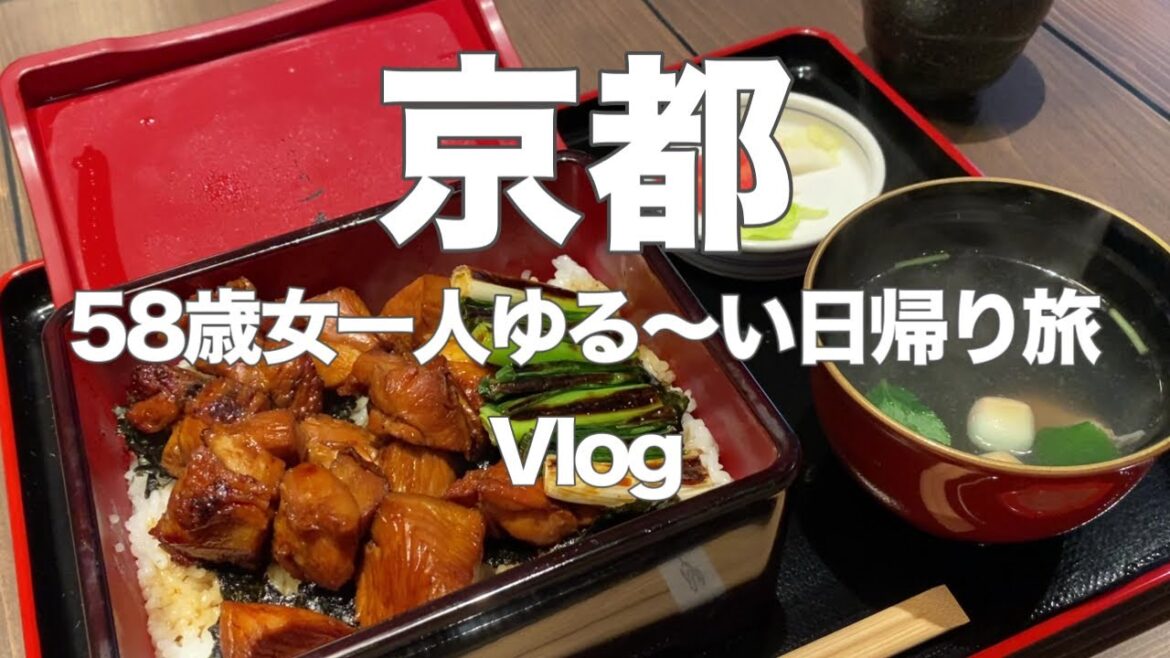 【京都Vlog】グルメランチと岡崎周辺を巡る大人のひとり旅 【京都Vlog】グルメランチと岡崎周辺を巡る大人のひとり旅