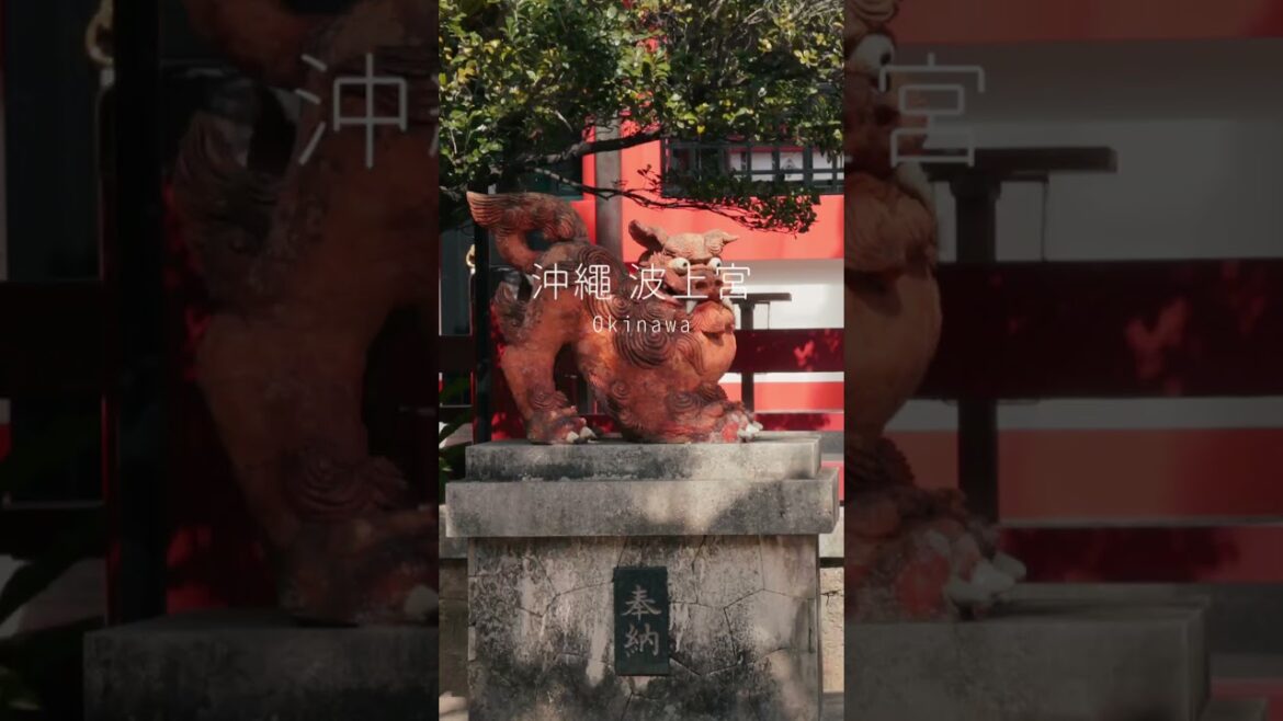 懸堐上的神社沖繩波上宮  #沖繩旅行 #okinawa #okinawatrip #波上宮 #沖繩旅遊 #沖縄 #沖縄旅行  #vlog #travel #錄影師 #dji #canonr5