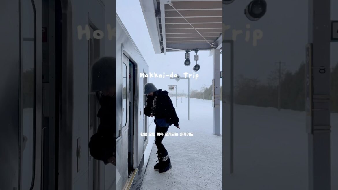 2025 홋카이도 여행 트랜드! (후라노비에이 갬성 기차여행) #biei #snowboarding #furano # #japow #hokkaidotrip #sapporo #ski