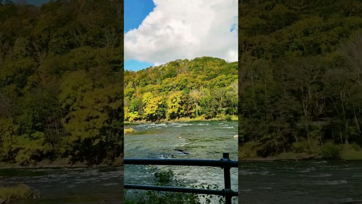 《24の24》 Day 3｜Running with the river