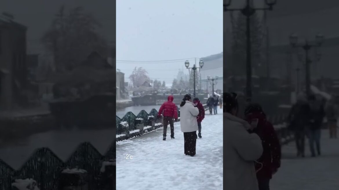 Sapporo - Otaru. Hokkaido 2024