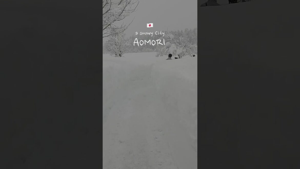 눈이 펑펑 계속 내리는 도시 #아오모리#일본여행#Japan#aomori