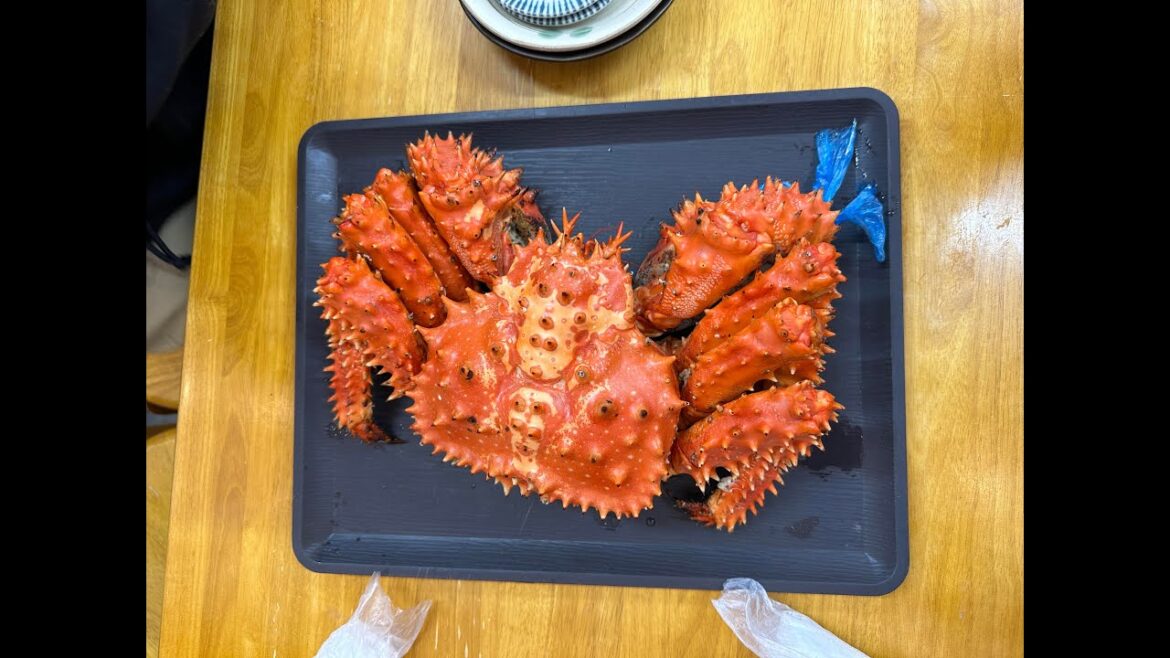 Otaru 2025 Otaru 2025