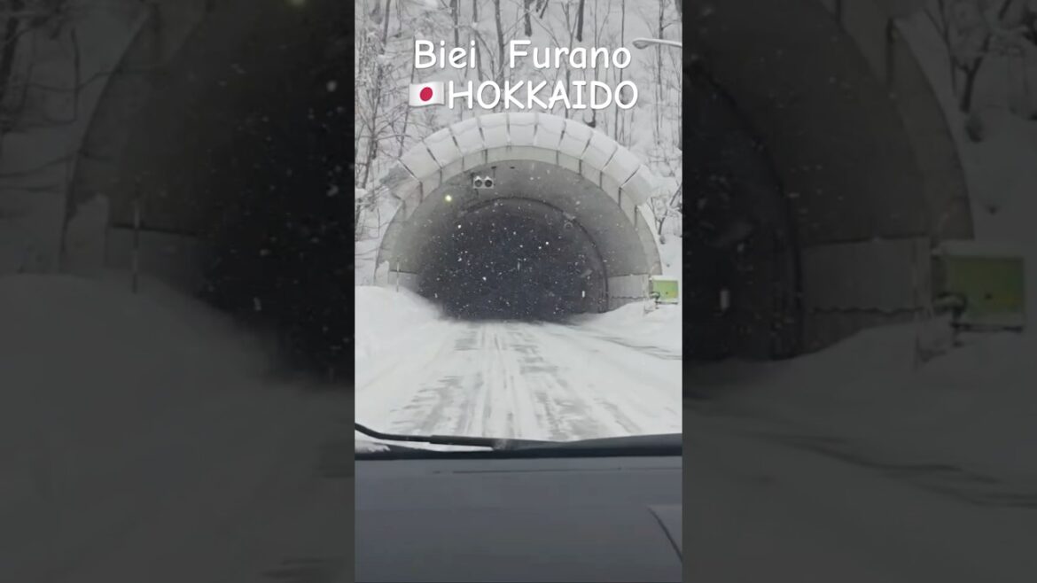 เมืองหิมะ!!Biei & Furano จังหวัดฮอกไกโด #japan #shortvideo