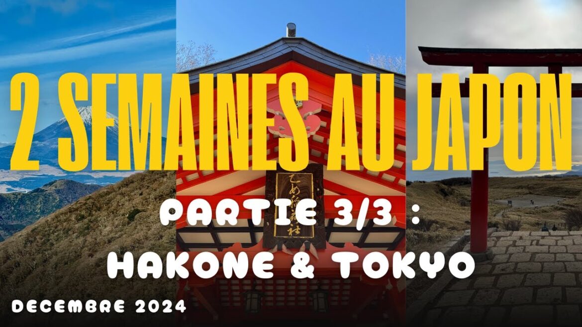 2 SEMAINES AU JAPON (partie 3/3) : vlog découverte de Hakone et Tokyo