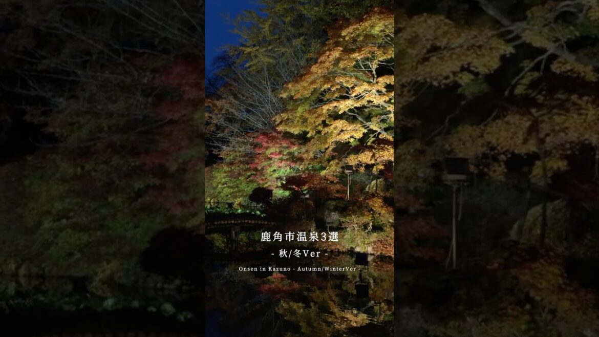 四季折々の雰囲気を楽しめる温泉3選♨️