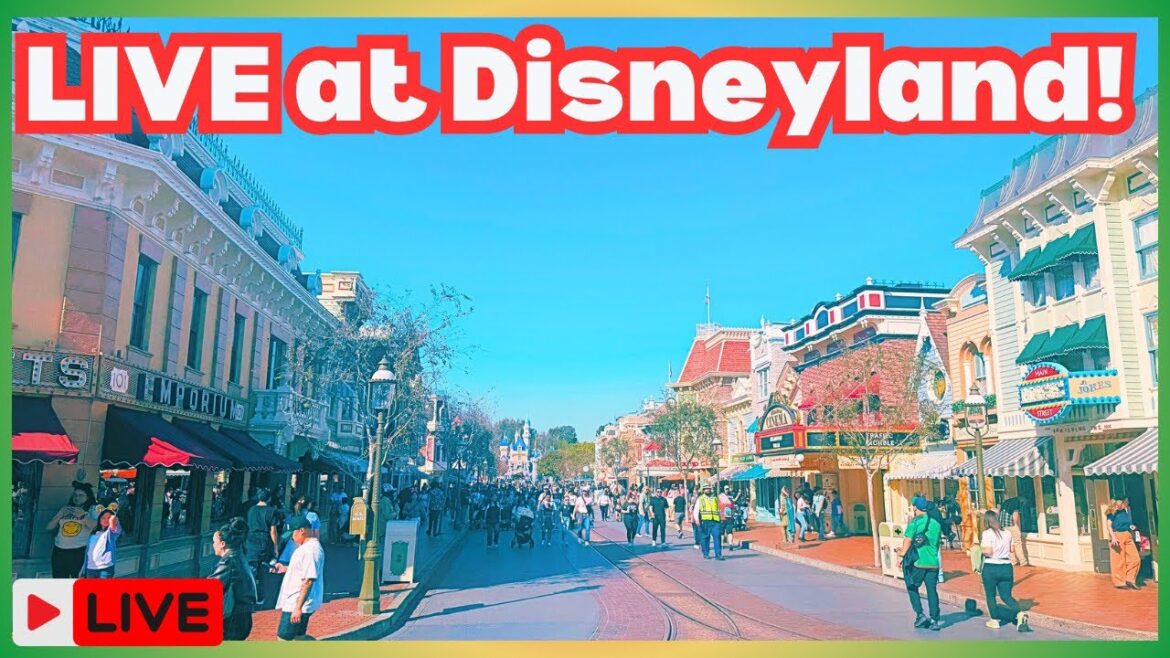 🔴 LIVE at Disneyland! Pin, Park & Merch Updates!