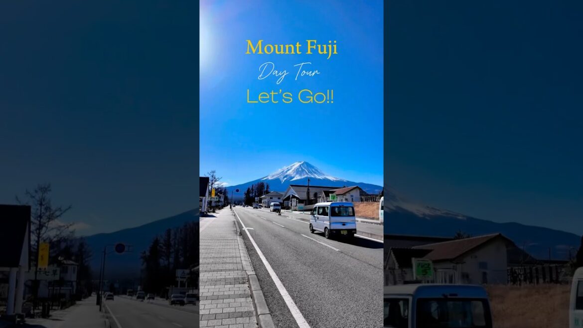 Mount Fuji Day Tour #fuji #tokyo #japan #explore #black