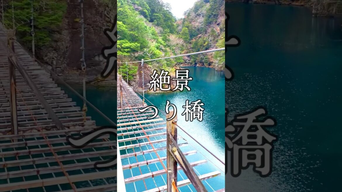 死ぬまでに行きたい絶景つり橋！【綺麗】#shorts #japan #japantravel #旅行 #絶景 #観光 #風景 #景色 #綺麗 #静岡 #川根本町 #夢のつり橋　#寸又峡