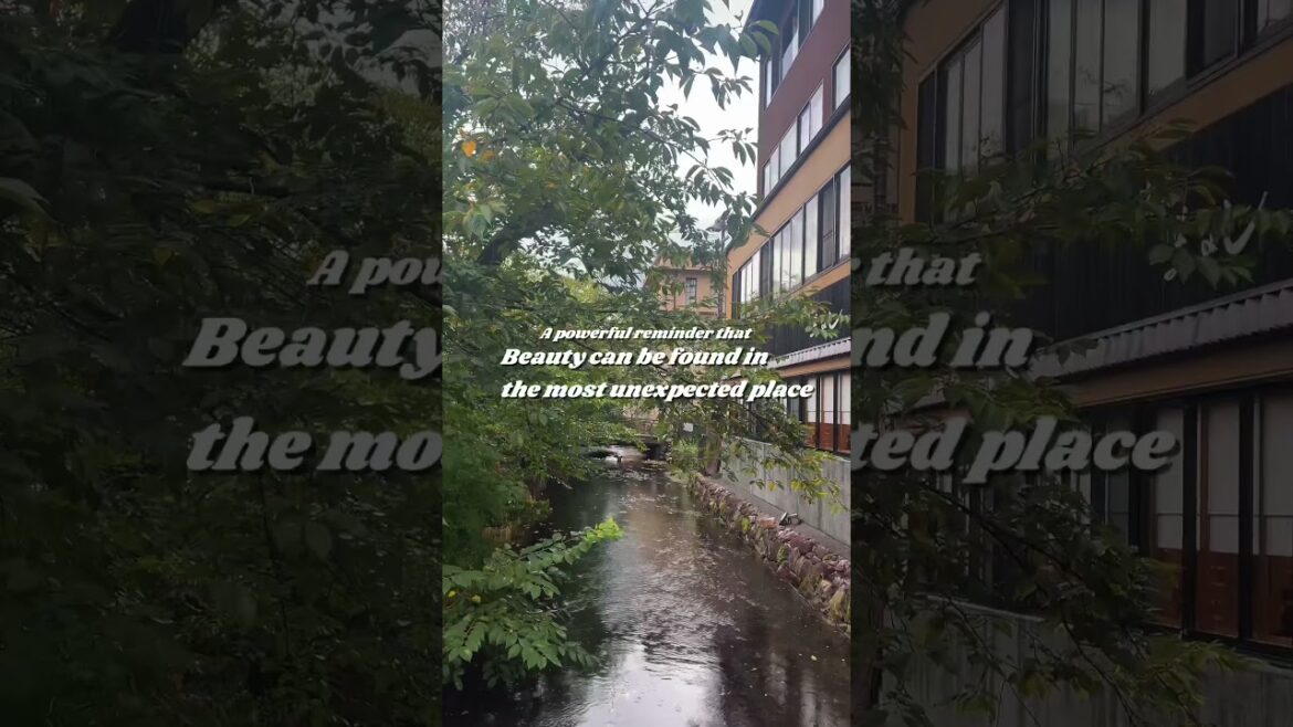 Subscribe and follow for more content about Japan 🇯🇵 #japanguide #japanitinerary