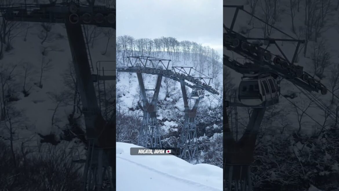 #snow #winter #skiresort #galayuzawa #japan #travel #niigata #gray-shirt