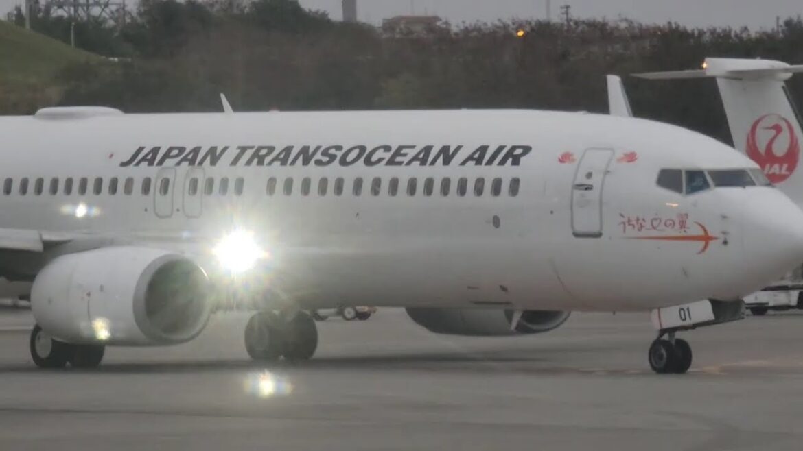 那覇から宮古島空の旅2025#南の島#宮古島到着#沖縄