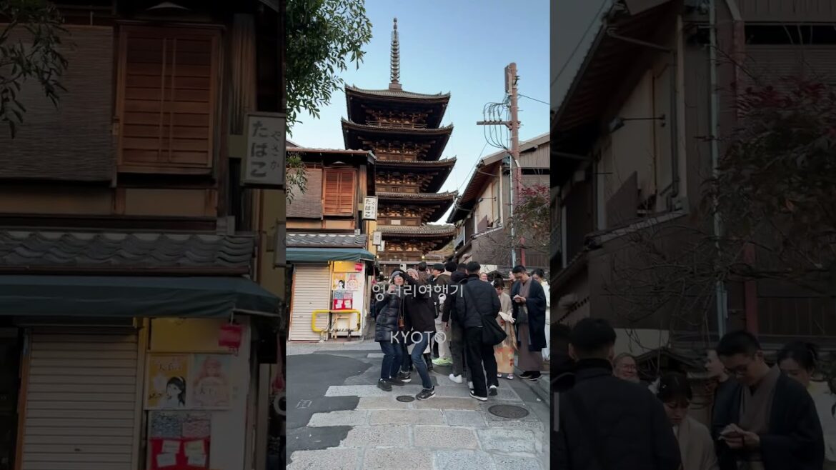 ★SHORTS051 KYOTO #kyoto #호칸지 #교토여행 #일본여행 #일본 #교토 #japan ★SHORTS051 KYOTO #kyoto #호칸지 #교토여행 #일본여행 #일본 #교토 #japan