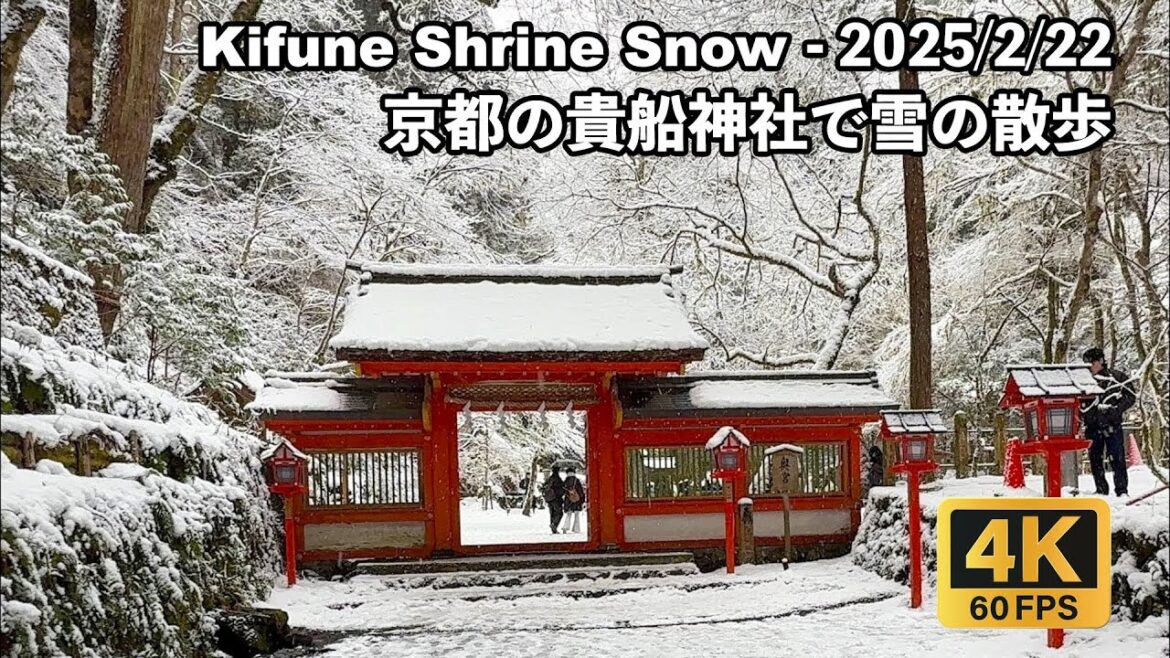 [4K] 貴船神社 - 奥宮から雪のお散歩 - 2025/2/22 - Kifune Shrine - Okumiya Shrine Walk
