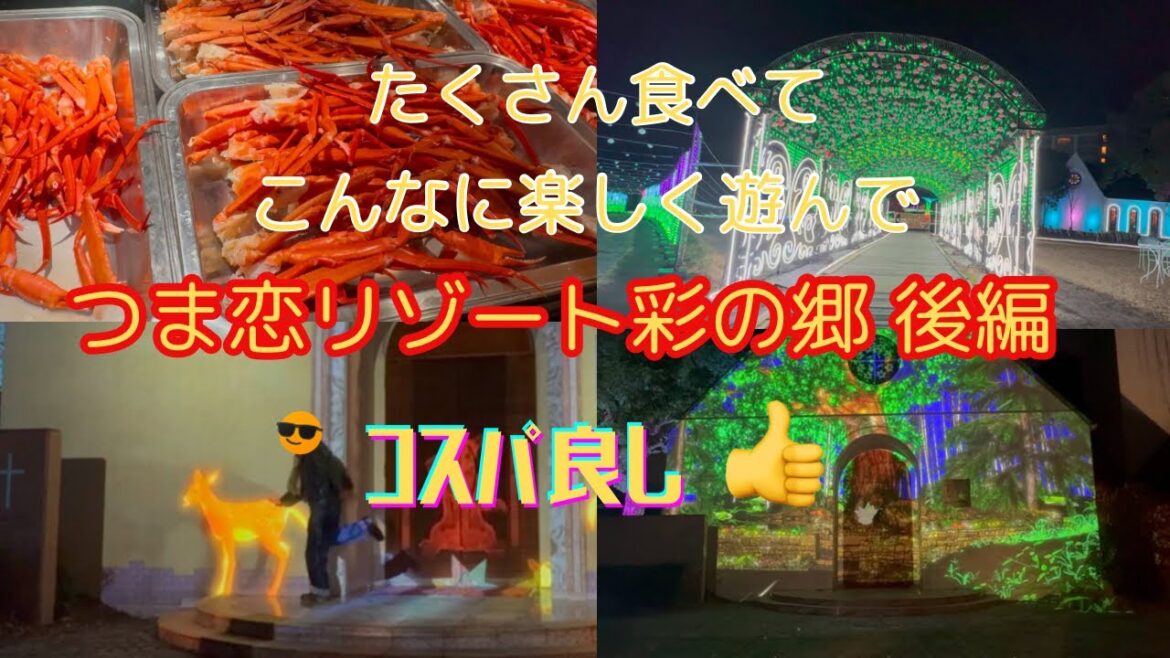 つま恋リゾート彩の郷後編　イルミネーション（森のさんぽ道）