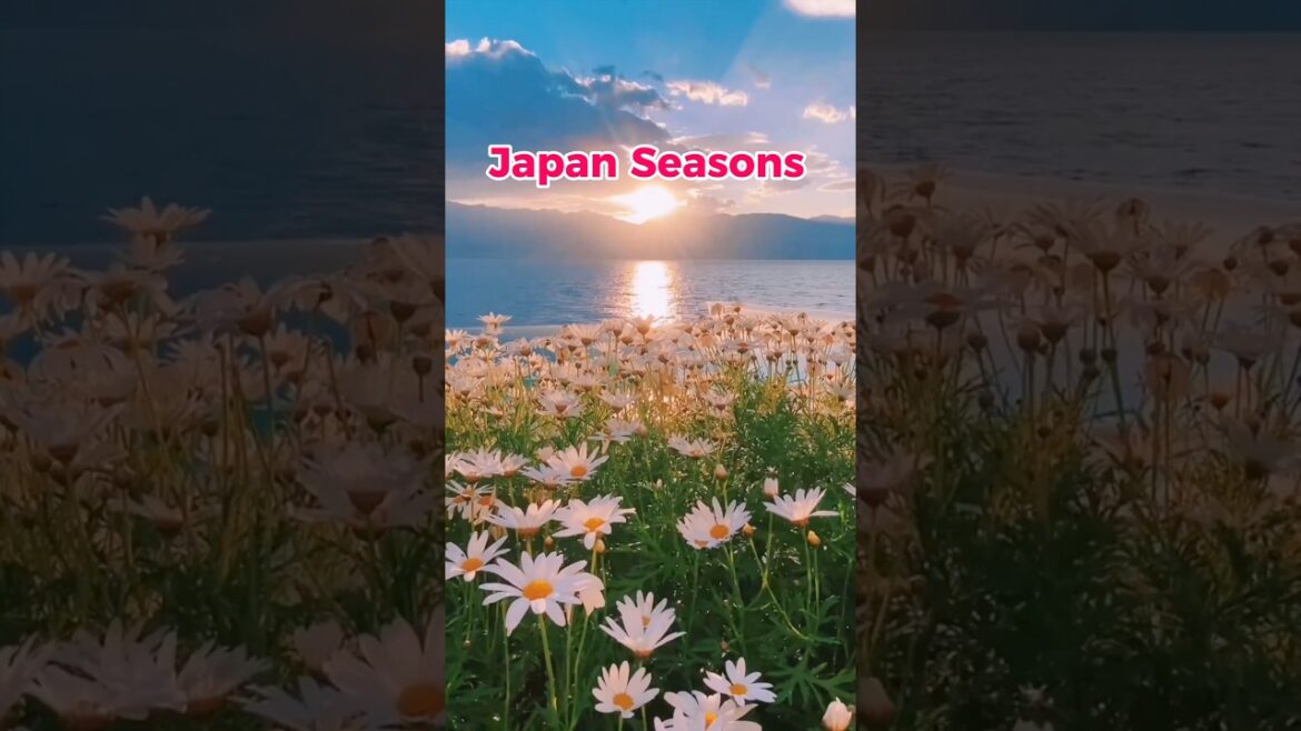 Japan’s Weather is WILD! Here’s Why!