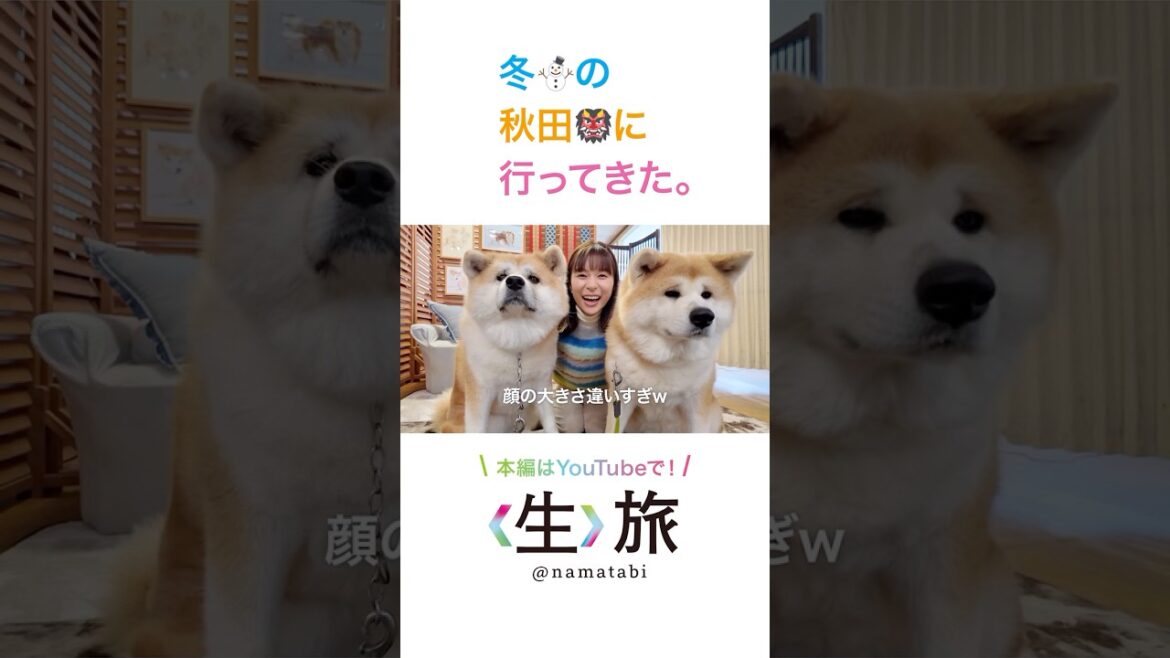 〈生〉旅、秋田篇はこげな感じ♪