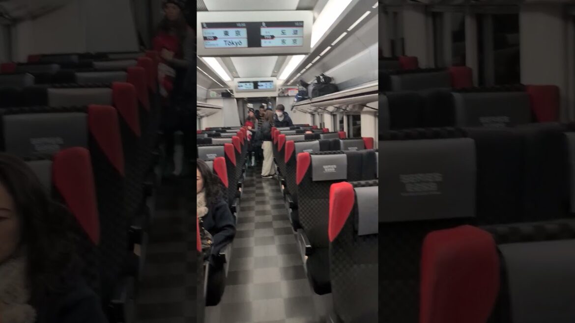 🗼🗾 Narita Express Train from Tokyo Station Japan - What it looks like Inside 🗾🗼