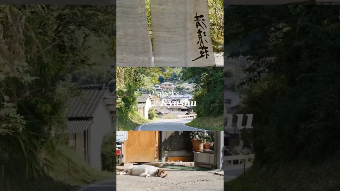 🎞️ NEW SERIES [2 Weeks in Kyushu]