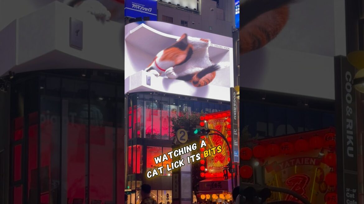 Tokyo: The Travel Experience That Changed Me Forever #shorts