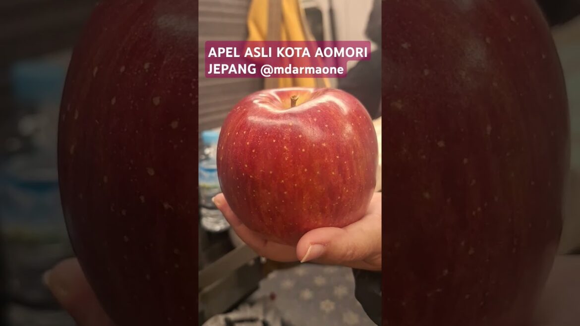 Buah Apel Asli Kota Aomori Jepang #shortsfeed #ytshorts #aomori #apel #apple #japantravel #fresh #up