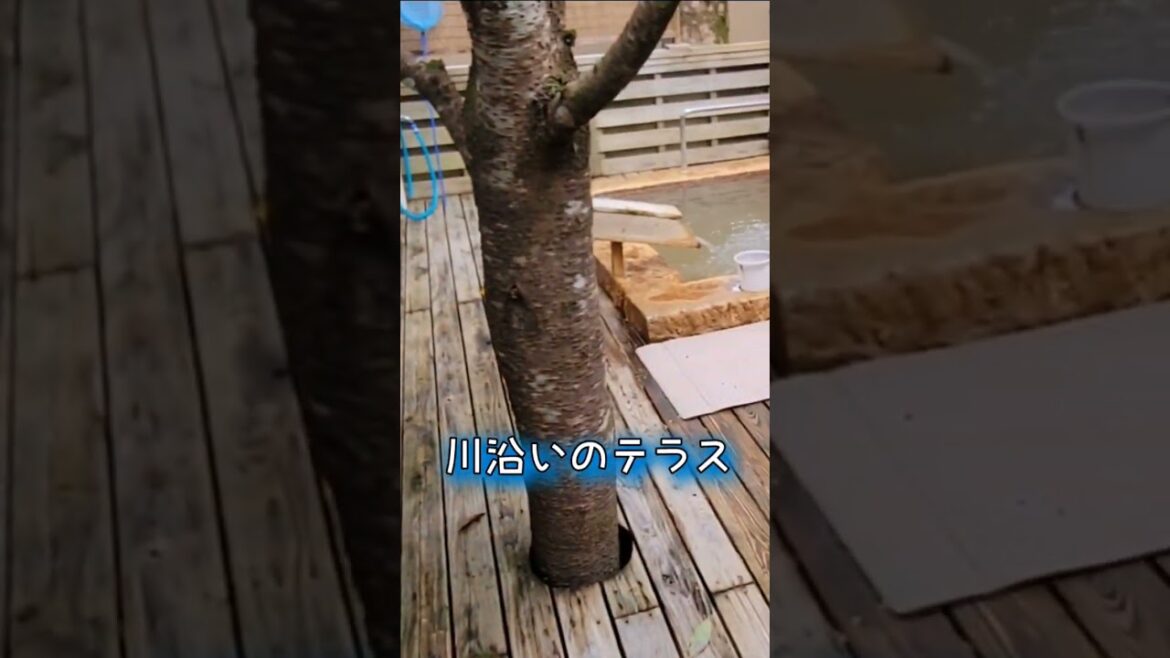 鹿児島旅パワースポットと温泉