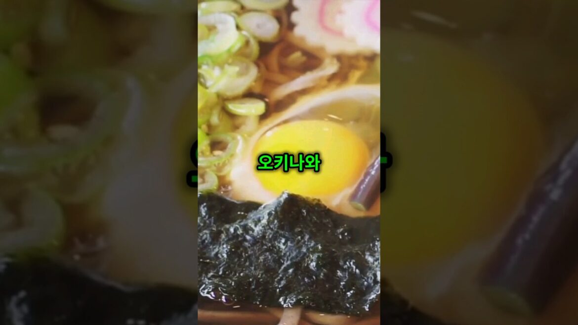 일본 오키나와 핫플레이스, 먹거리소개합니다! #RTMZ8