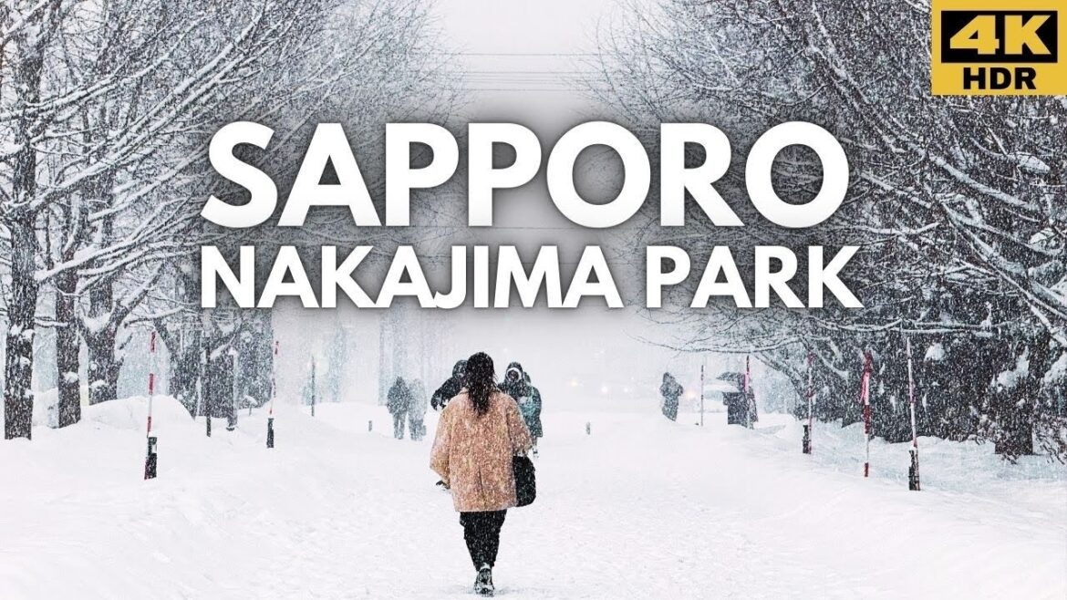 Japan is Frozen: Stroll Through the Snow-Covered Nakajima Park in Sapporo Japan Japan is Frozen: Stroll Through the Snow-Covered Nakajima Park in Sapporo Japan