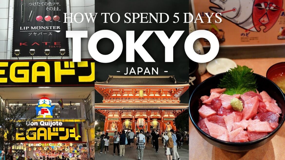 HOW TO SPEND 5 DAYS IN TOKYO, JAPAN | Japan Ultimate Guide 2025 HOW TO SPEND 5 DAYS IN TOKYO, JAPAN | Japan Ultimate Guide 2025